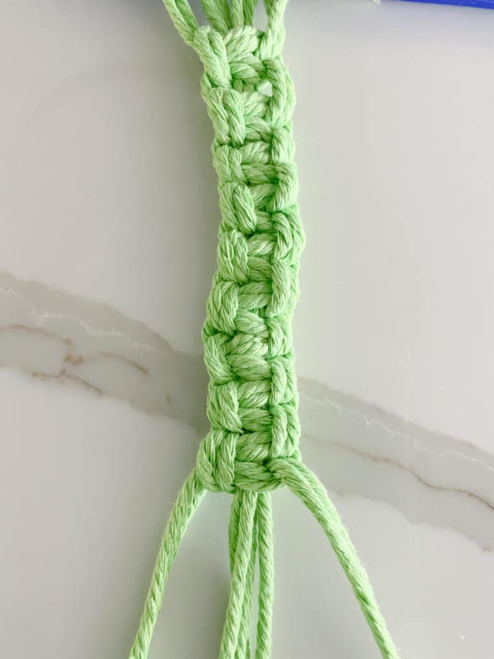 Kitchen Produce Hanger, Onion Holder, Plastic Bag Holder, Hanging Vegetable  Bag, Macrame Produce Bag, Citrus Keeper, Lemon/lime Holder 