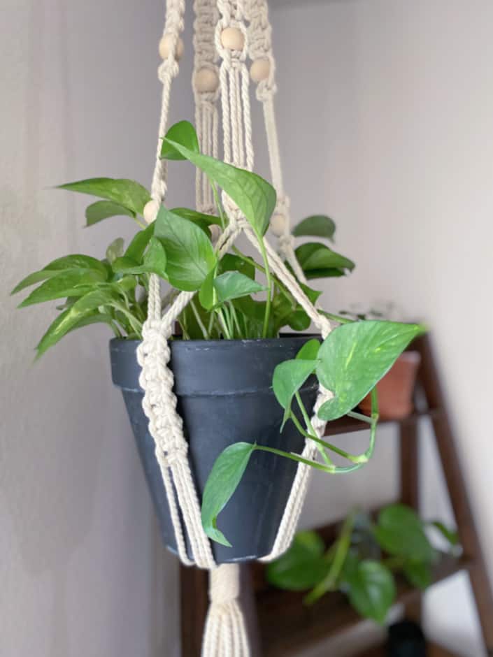 macrame plant hanger diy
